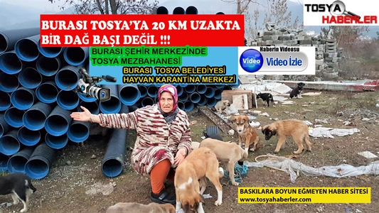TOSYA BELEDİYESİ  TEDAVİ VE KARANTİNA  MERKEZİNİN BULUNDUĞU ALANDA “KÖPEKLER ÖLÜME TERK EDİLDİ”