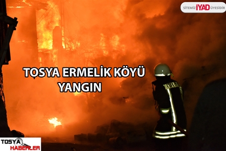 TOSYA ERMELİK KÖYÜNDE KORKUTAN YANGIN..