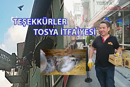 YAVRU KUŞLARIN İMDADINA TOSYA İTFAİYESİ YETİŞTİ..