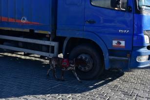 TOSYA D100 DE JANDARMA VE POLİS NARKOTİK KÖPEK HIRÇIN İLE BİRLİKTE GÜVENLİK UYGULAMASI YAPTI..