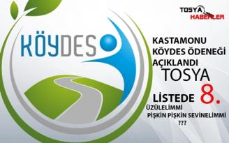 KÖYDES ÖDENEĞİ AÇIKLANDI TOSYA 8.SIRADA YER ALDI ( İŞTE LİSTE..)
