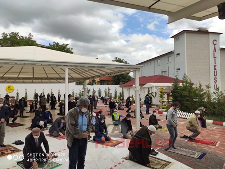 AYLARCA BEKLENEN CUMA HASRETİ TOSYA ÇALIKUŞU DÜĞÜN SALONUNDA SONA ERDİ..