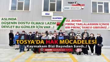 TOSYA’DA BİR HAK MÜCADELESİ “KORONALI ARKADAŞLARIMIZI BİLE TEHDİT İLE ÇALIŞTIRDILAR”…